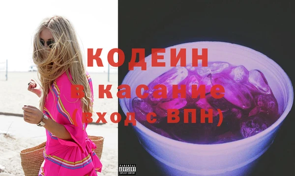 индика Бородино