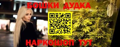 прущие крисы Бийск