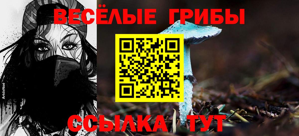 Псилоцибиновые грибы Psilocybine cubensis  Вход с VPN  Псилоцибиновые грибы MAGIC MUSHROOMS  сколько стоит  Владикавказ 
