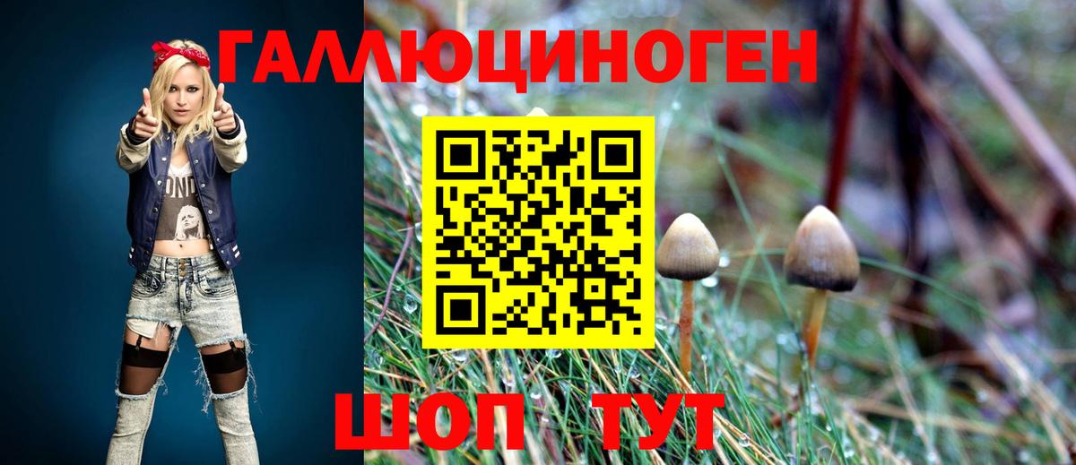 Псилоцибиновые грибы мухоморы  Галлюциногенные грибы прущие грибы  Владикавказ 