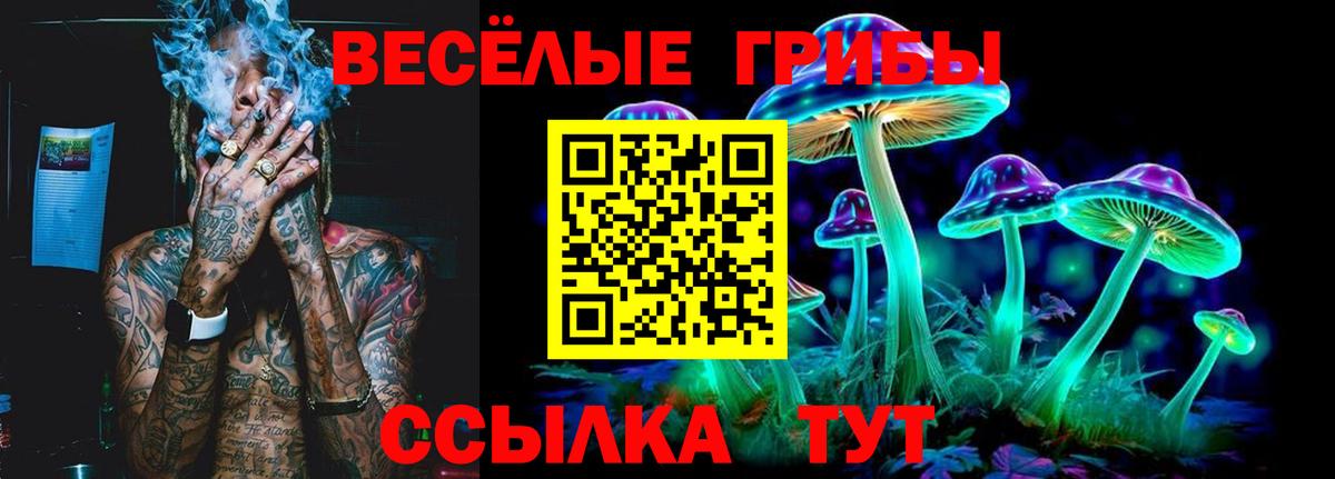 Псилоцибиновые грибы Psilocybe Владикавказ